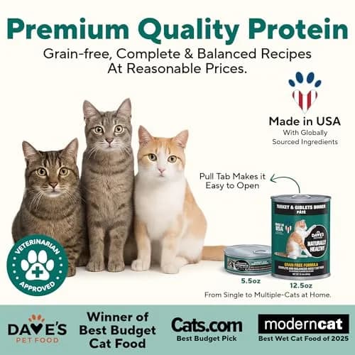 Dave's Pet Food Grain Free Canned Cat Food, Turkey & Giblets Pate, 12.5 oz | High-Protein, Grain-Free Nutrition thumbnail 2