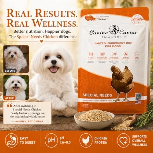 Canine Caviar Special Needs Dry Dog Food Chicken & Brown Rice 4.4 lb | Alkaline, Sensitive Digestive Support thumbnail 6