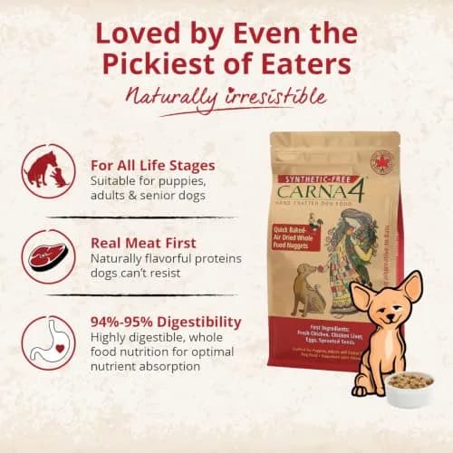 CARNA4 Gentle Quick-Baked Air-Dried Dog Food, Chicken Recipe, 3lb | Complete, Synthetic-Free Nutrition for All Breeds thumbnail 4