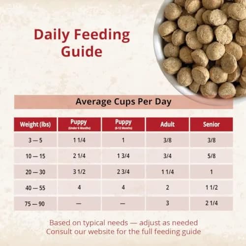 CARNA4 Gentle Quick-Baked Air-Dried Dog Food, Chicken Recipe, 3lb | Complete, Synthetic-Free Nutrition for All Breeds thumbnail 5