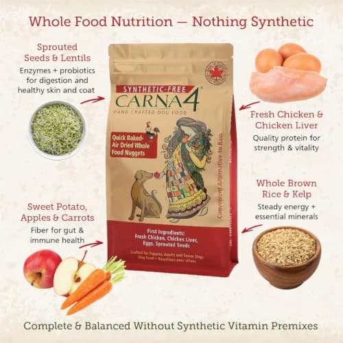 CARNA4 Gentle Quick-Baked Air-Dried Dog Food, Chicken Recipe, 3lb | Complete, Synthetic-Free Nutrition for All Breeds thumbnail 3