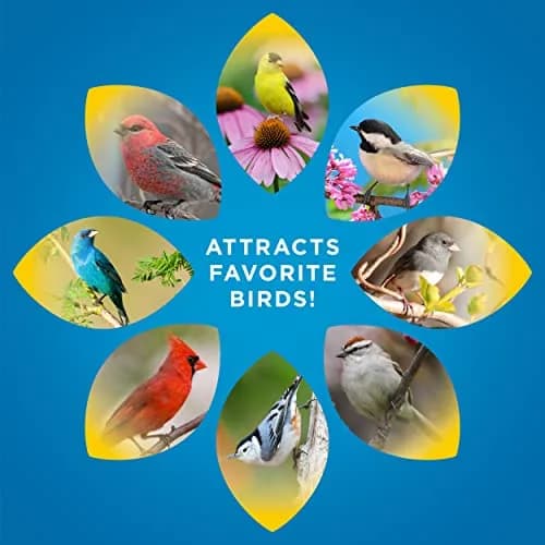 Audubon Park Songbird Bird Seed 14 lb | Supports Year-Round Feeding with Nutritious Blend thumbnail 4