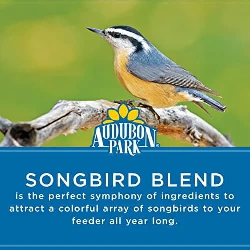 Audubon Park Songbird Bird Seed 14 lb | Supports Year-Round Feeding with Nutritious Blend thumbnail 2