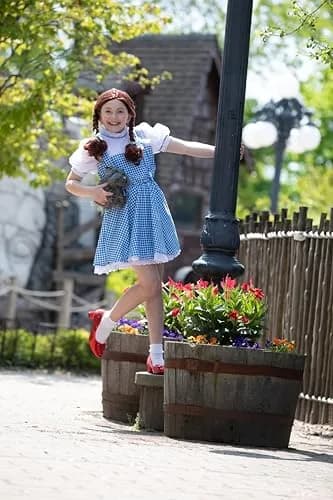 Rubies The Wizard of Oz: Dorothy Deluxe Red Costume Shoes | Girl's Medium | Glitter Red Dorothy Shoes thumbnail 2