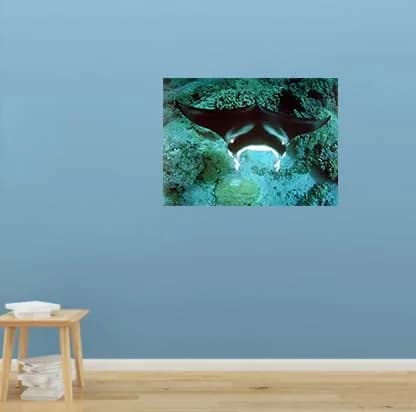 Impact Posters Gallery Underwater Ocean Animal Manta Ray Sea Life Wall Decor 16x20 | Vibrant Marine Scene thumbnail 9