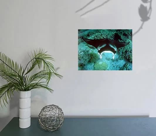 Impact Posters Gallery Underwater Ocean Animal Manta Ray Sea Life Wall Decor 16x20 | Vibrant Marine Scene thumbnail 5