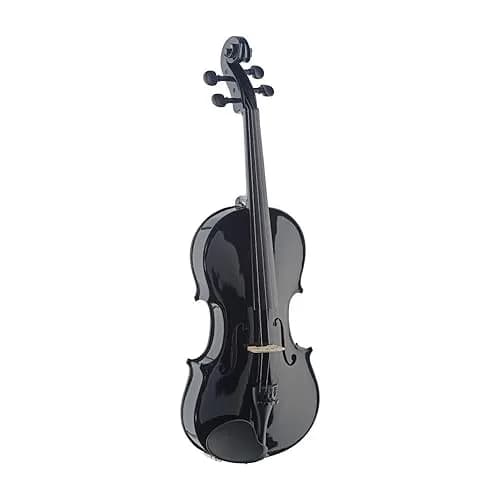 Stagg Violin 4/4 Black | Solid Maple & Spruce, Perfect for Beginners & Students in India thumbnail 1