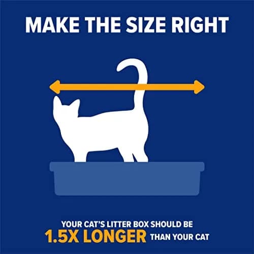 Arm & Hammer Rimmed Cat Litter Box with High Sides and Microban | Large, Odor-Resistant, Made in USA thumbnail 6