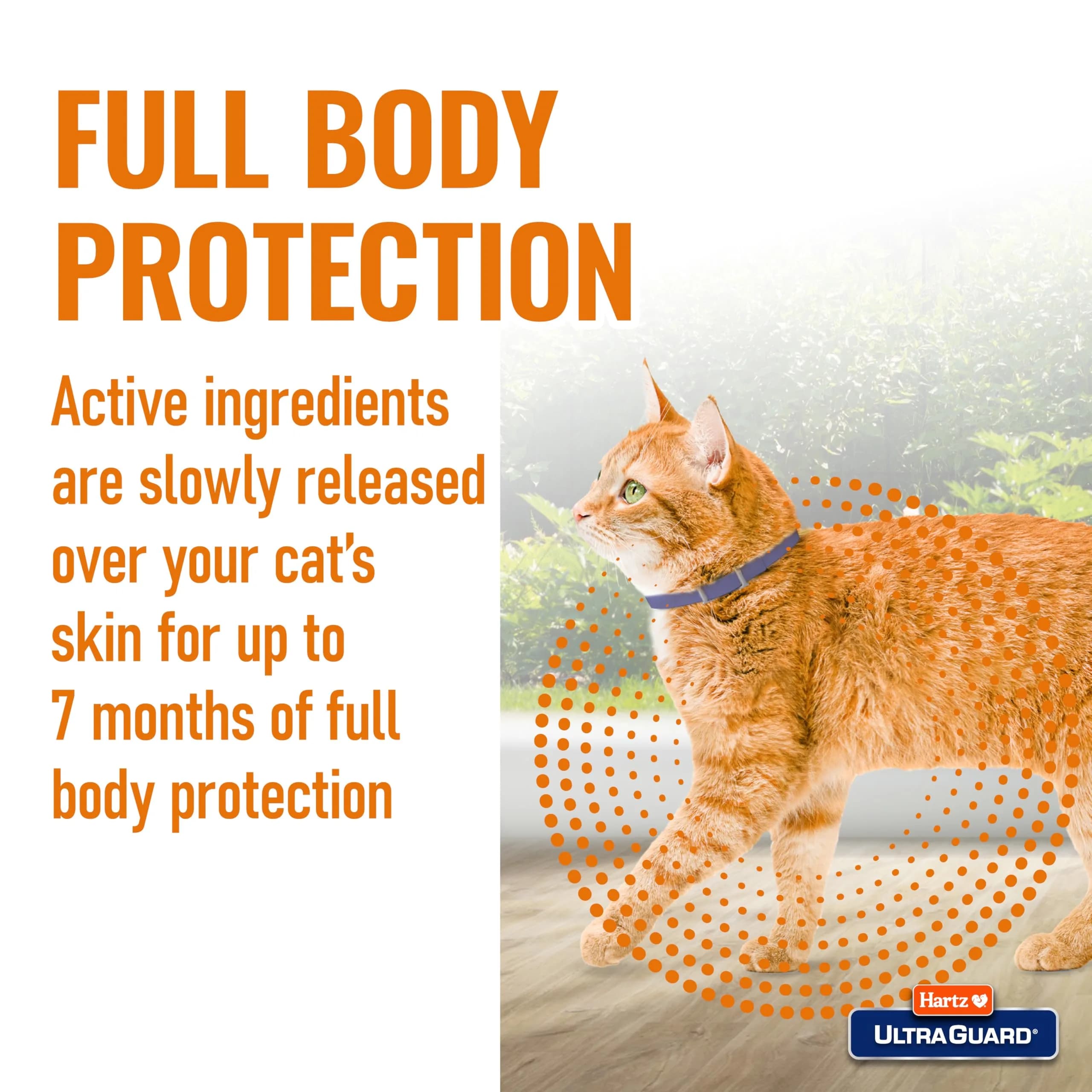 Hartz UltraGuard Purple Flea & Tick Collar for Cats and Kittens | 7 Month Protection - view 4