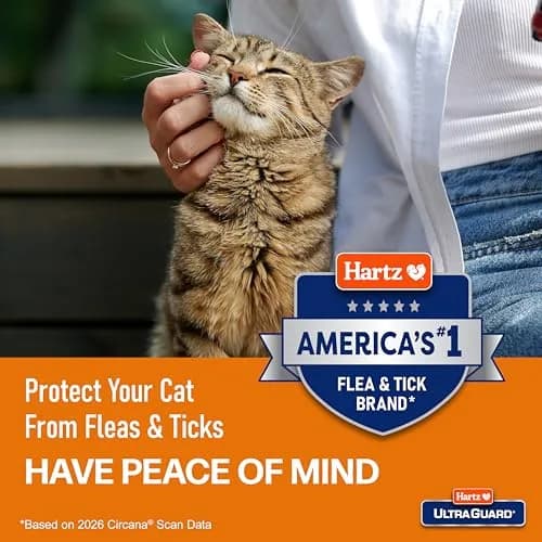 Hartz UltraGuard Purple Flea & Tick Collar for Cats and Kittens | 7 Month Protection thumbnail 5