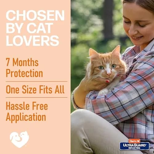 Hartz UltraGuard Purple Flea & Tick Collar for Cats and Kittens | 7 Month Protection thumbnail 6