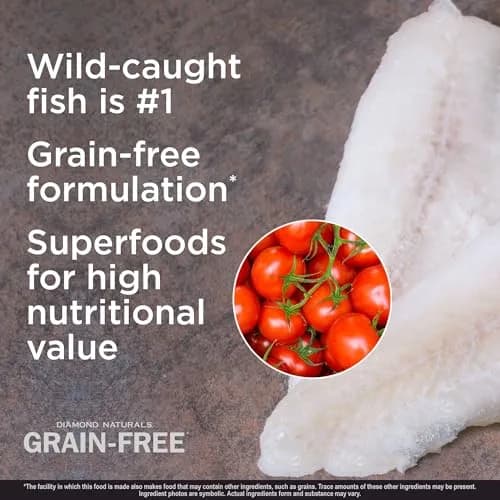 Diamond Naturals Grain-Free Dry Dog Food, Whitefish & Sweet Potato, 12.7kg (28lb) | All Life Stages & Breed Sizes thumbnail 3