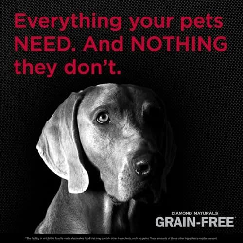 DIAMOND NATURALS Grain-Free Dry Dog Food, Cage-Free Chicken, 12.7kg (28lb) | All-Natural Protein & Energy thumbnail 4