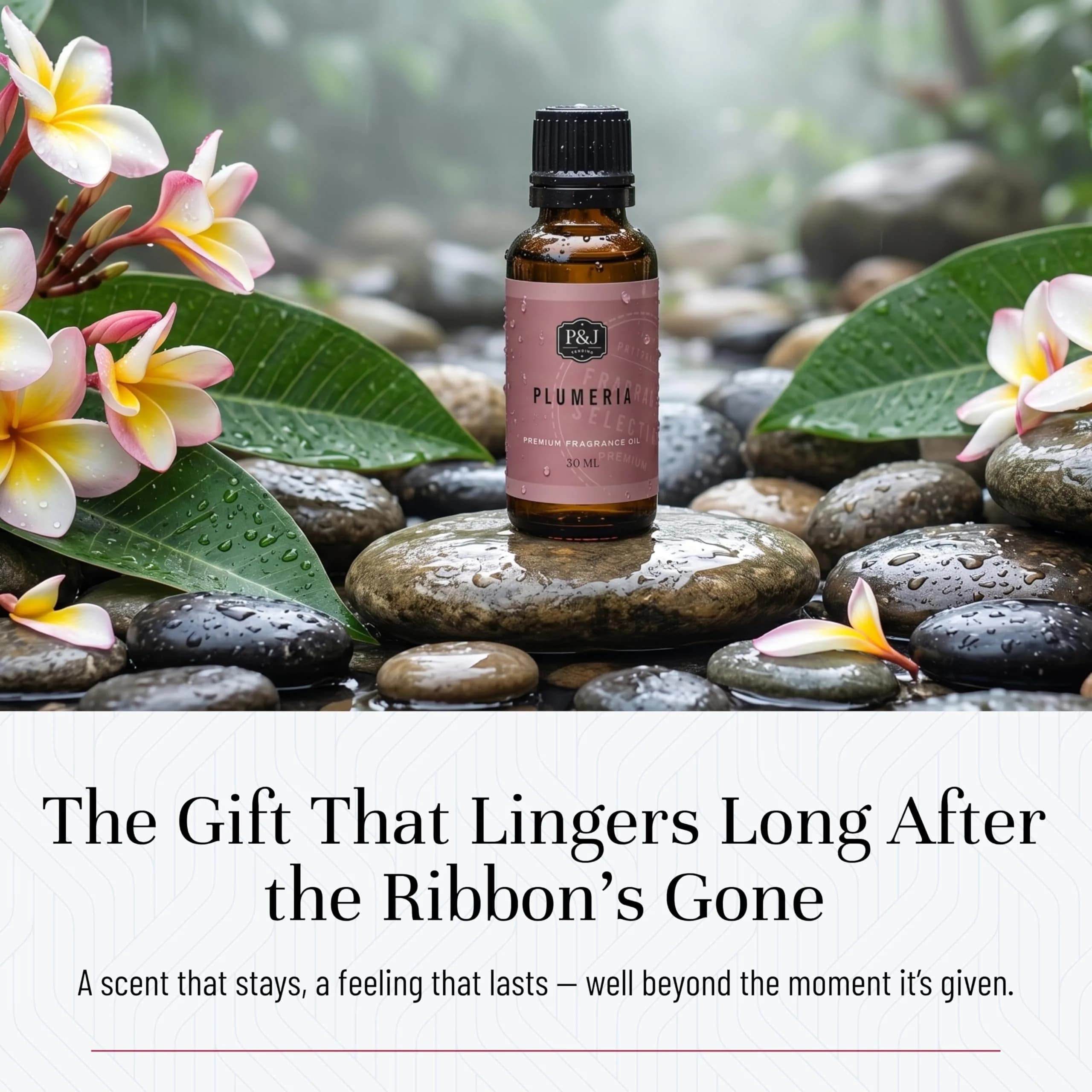 P&J Trading Plumeria Fragrance Oil 30ml (1.01 Fl Oz) | Authentic USA Import for Candle Making & Home Fragrance - view 5
