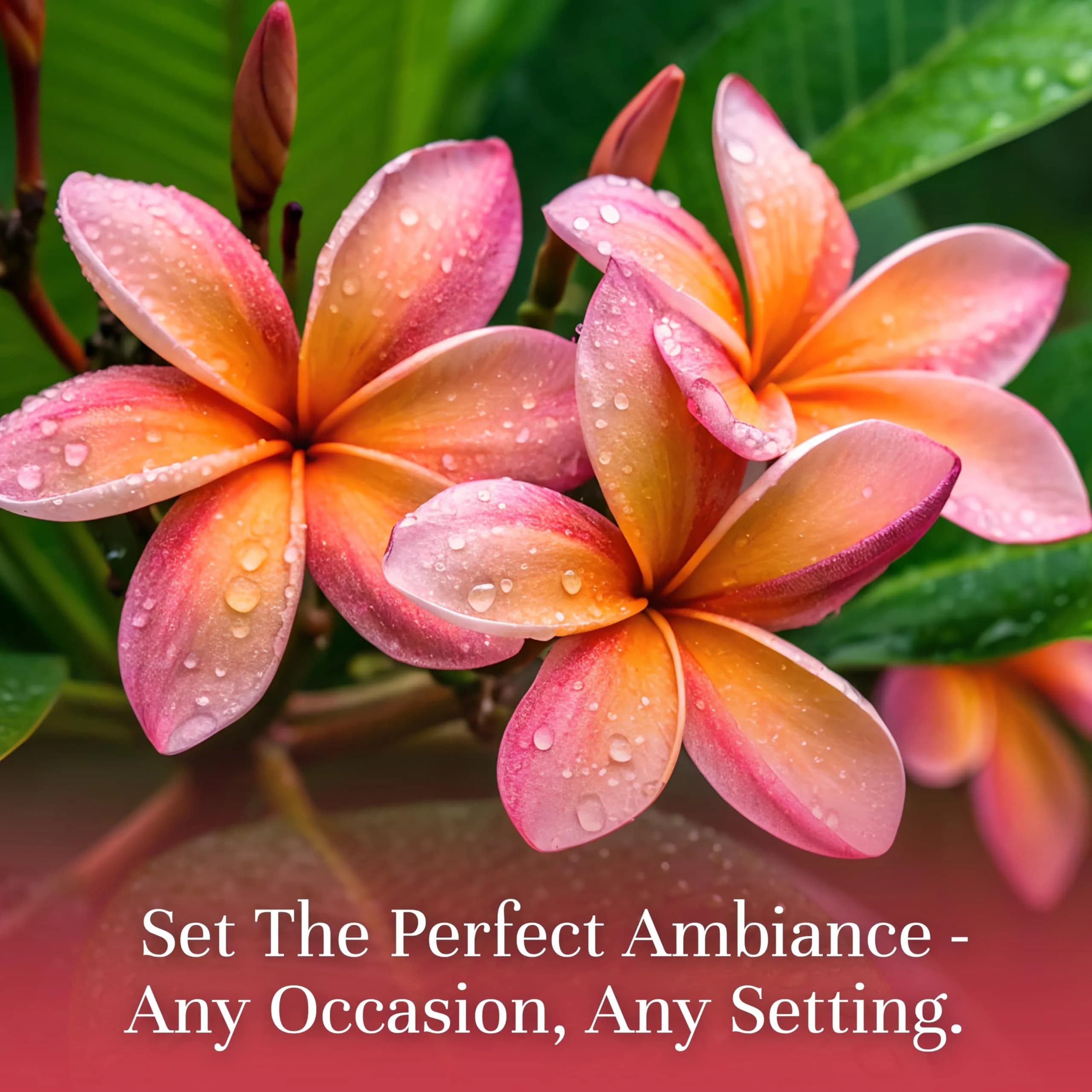 P&J Trading Plumeria Fragrance Oil 30ml (1.01 Fl Oz) | Authentic USA Import for Candle Making & Home Fragrance - view 2