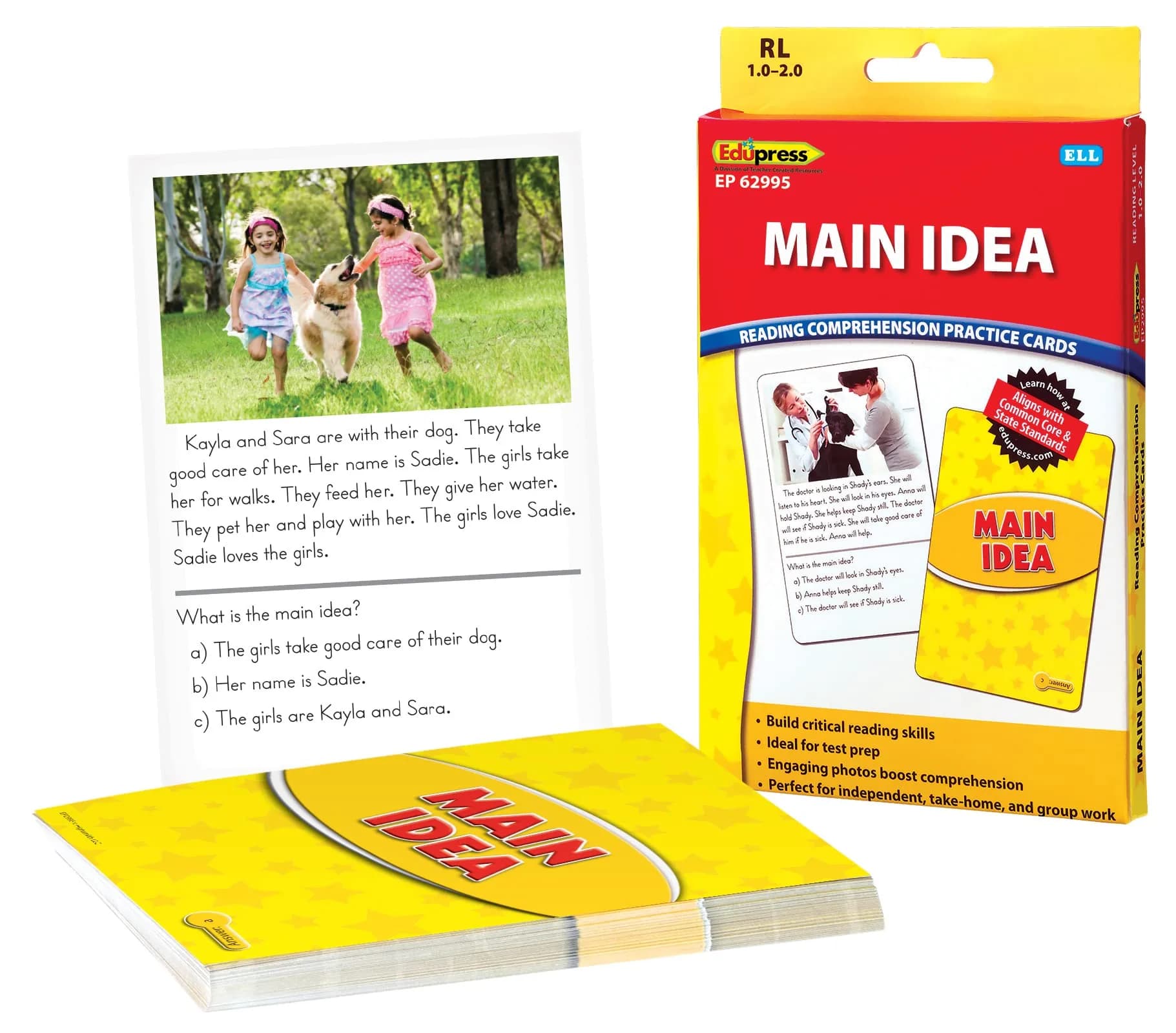 Edupress Reading Comprehension Practice Cards, Main Idea, Yellow Level | Supports Reading Skills for Class 1-2