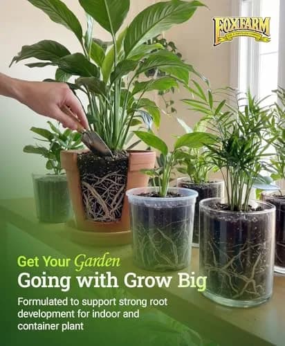 FoxFarm Grow Big Liquid Plant Food 6-4-4 | Supports Lush Vegetative Growth & Fast Nutrient Uptake thumbnail 6