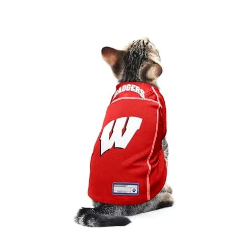 Littlearth NCAA Wisconsin Badgers Basic Pet Jersey, Team Color, X-Large | Officially Licensed NCAA Pet Jersey thumbnail 4