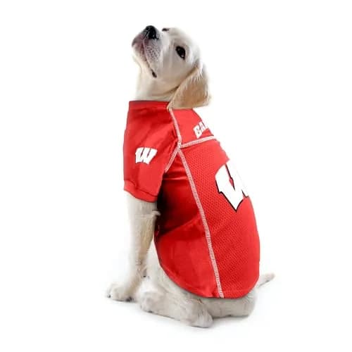 Littlearth NCAA Wisconsin Badgers Basic Pet Jersey, Team Color, X-Large | Officially Licensed NCAA Pet Jersey thumbnail 2