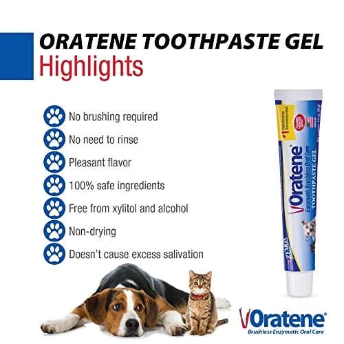 PKB Animal Health Zymox Oratene Brushless Toothpaste Gel for Dogs and Cats, 75ml (2.5oz) | Enzymatic Oral Care for Fresh Breath thumbnail 3