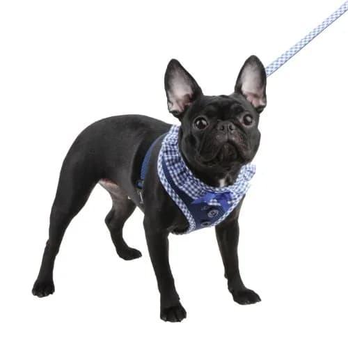 Puppia Vivien Dog Harness Over-the-Head Small | No Pull, Adjustable, All Season (70-120 chars) thumbnail 3