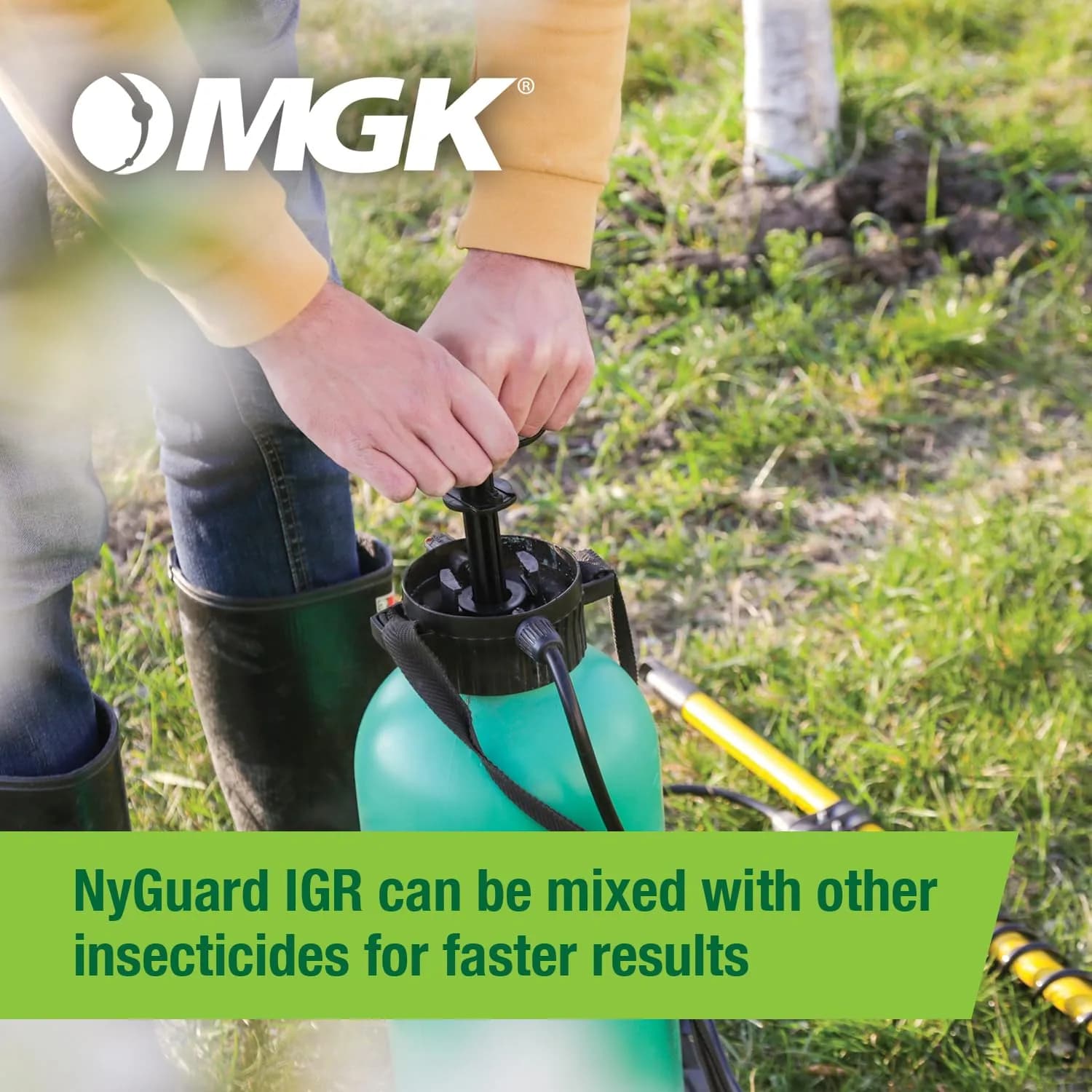 MGK NyGuard IGR Concentrate Insecticide 140ml (4.73 Fl Oz) | Breaks Pest Life Cycles - view 4