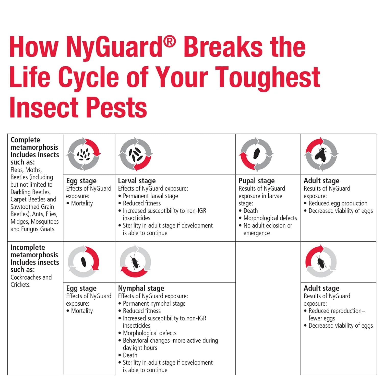 MGK NyGuard IGR Concentrate Insecticide 140ml (4.73 Fl Oz) | Breaks Pest Life Cycles - view 6