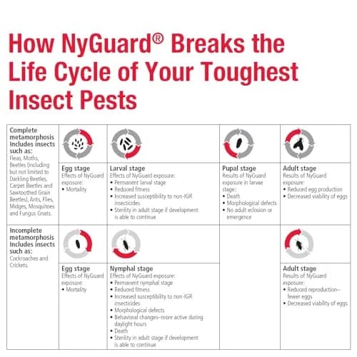MGK NyGuard IGR Concentrate Insecticide 140ml (4.73 Fl Oz) | Breaks Insect Life Cycles thumbnail 6