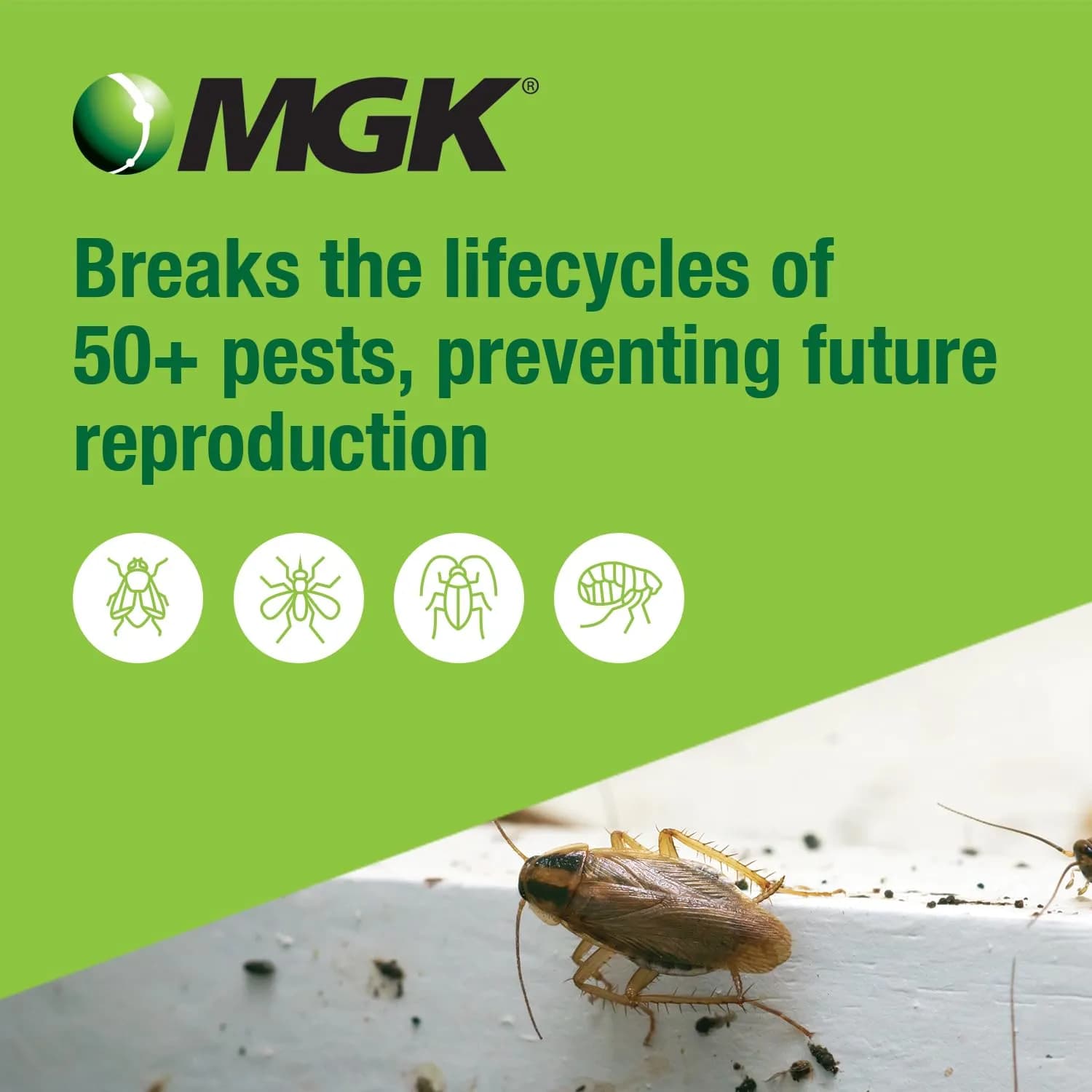 MGK NyGuard IGR Concentrate Insecticide 140ml (4.73 Fl Oz) | Breaks Pest Life Cycles - view 3