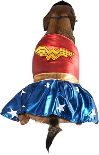 Rubies Wonder Woman Pet Costume Large | Official DC Licensed Pet Dress & Tiara thumbnail 5