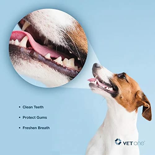 Vet One DuoClenz Rawhide Dental Chews for Small Dogs 30 Count | Enzymatic Oral Care & Fresh Breath thumbnail 5