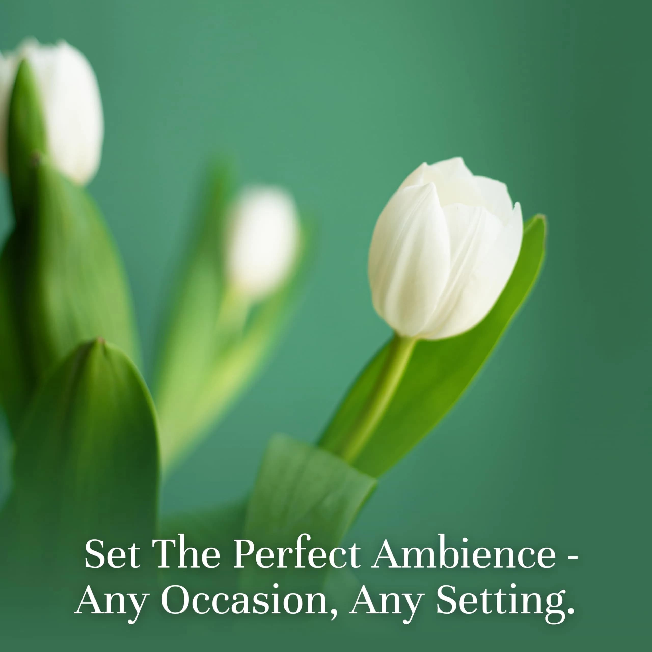 P&J Trading Fragrance Oils for Diffusers & Candle Making, 6 x 10ml Bottles | USA Imported Aromas - view 2