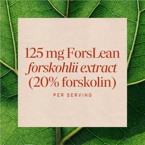 Nature's Way Coleus Forskohlii Extract, 20% Forskolin, Vegan, 60 ct | Supports Body Composition thumbnail 4