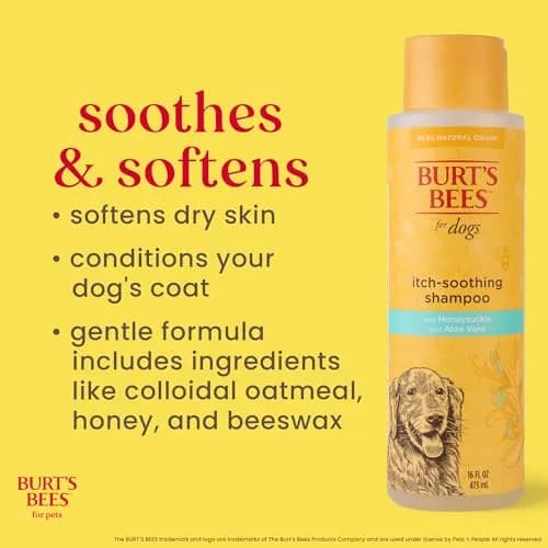 Burt's Bees for Pets Itch Soothing Dog Shampoo Honeysuckle 473ml (16 Fl Oz) | Gentle pH-Balanced Formula for Dogs thumbnail 3