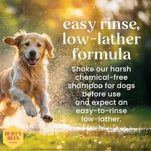 Burt's Bees for Pets Itch Soothing Dog Shampoo Honeysuckle 473ml (16 Fl Oz) | Gentle pH-Balanced Formula for Dogs thumbnail 4