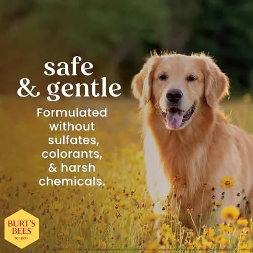 Burt's Bees for Pets Itch Soothing Dog Shampoo Honeysuckle 473ml (16 Fl Oz) | Gentle pH-Balanced Formula for Dogs thumbnail 5