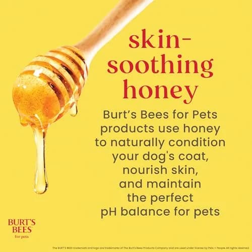 Burt's Bees for Pets Itch Soothing Dog Shampoo Honeysuckle 473ml (16 Fl Oz) | Gentle pH-Balanced Formula for Dogs thumbnail 6