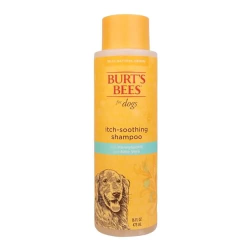 Burt's Bees for Pets Itch Soothing Dog Shampoo Honeysuckle 473ml (16 Fl Oz) | Gentle pH-Balanced Formula for Dogs thumbnail 1