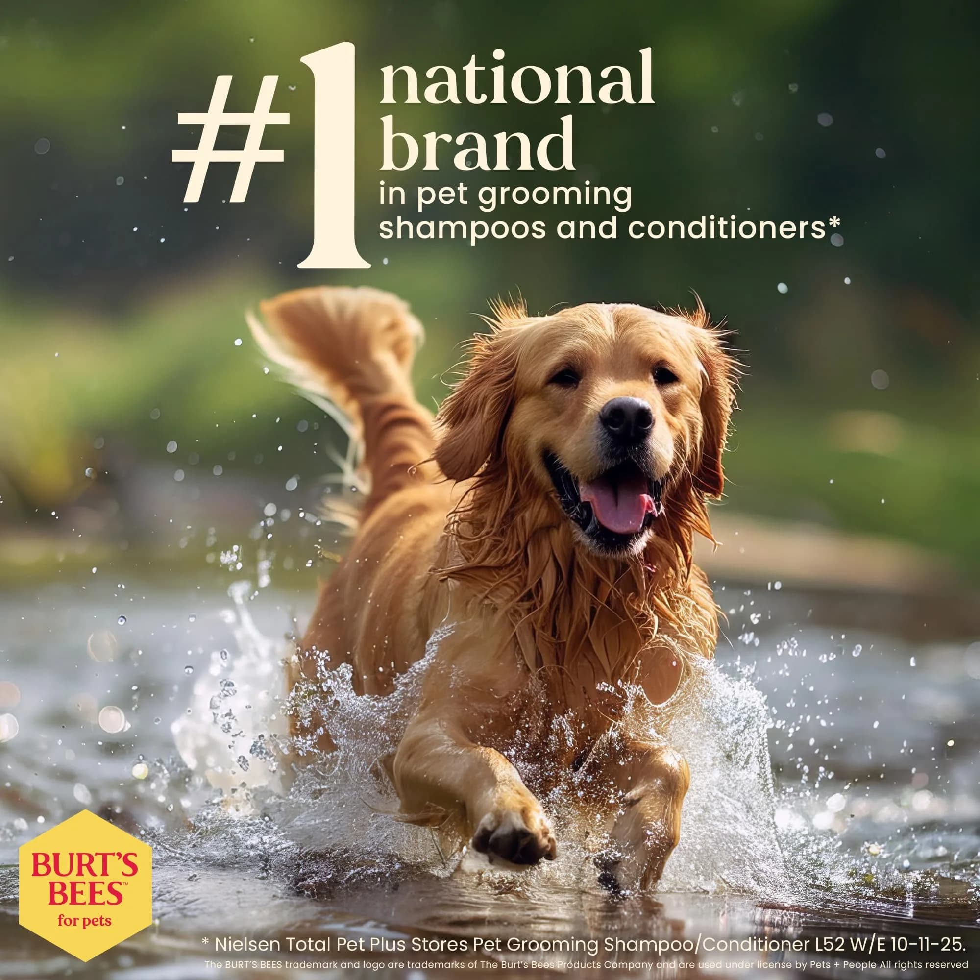 Burt's Bees for Pets Itch Soothing Dog Shampoo Honeysuckle 473ml (16 Fl Oz) | Gentle pH-Balanced Formula for Dogs - view 7