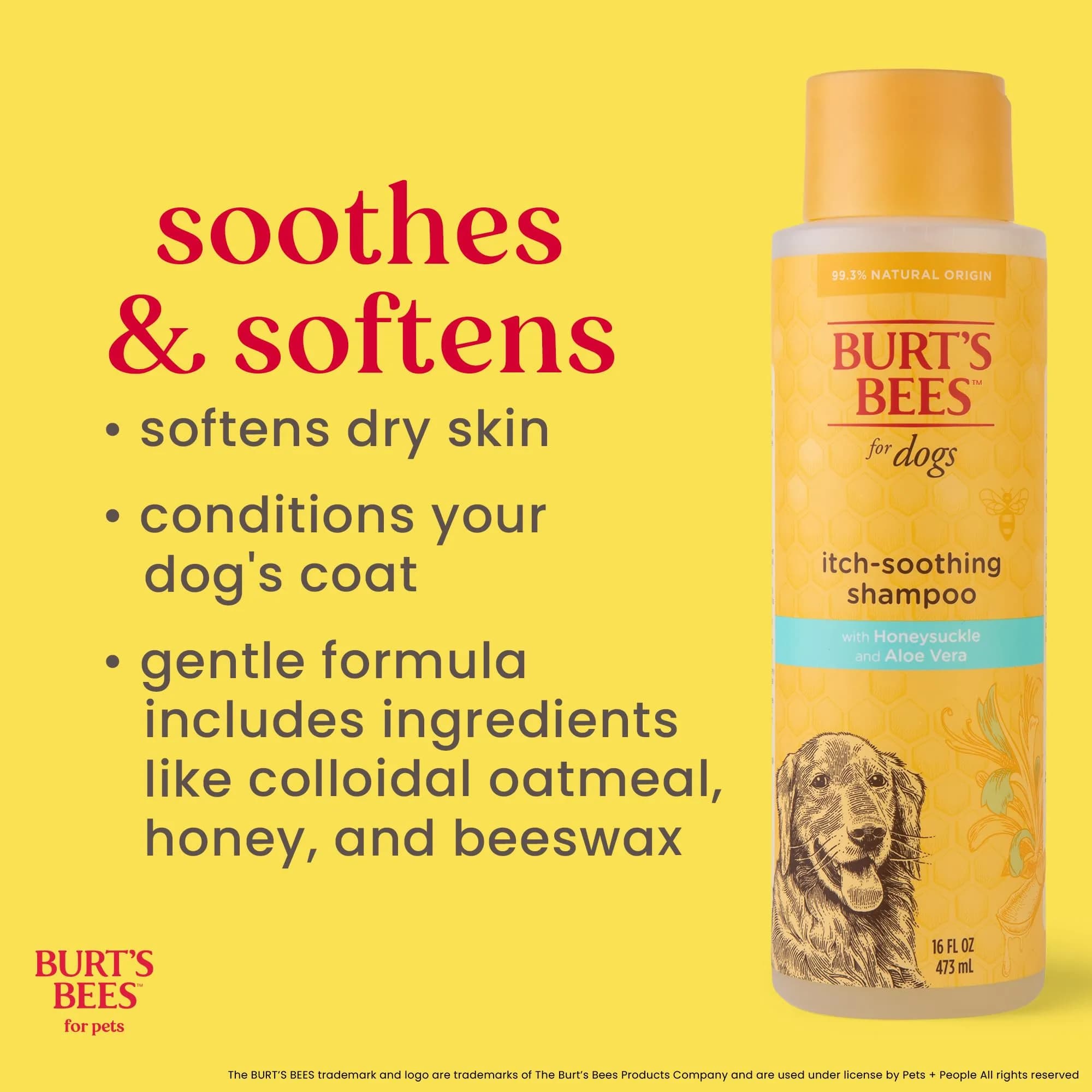 Burt's Bees for Pets Itch Soothing Dog Shampoo Honeysuckle 473ml (16 Fl Oz) | Gentle pH-Balanced Formula for Dogs - view 3