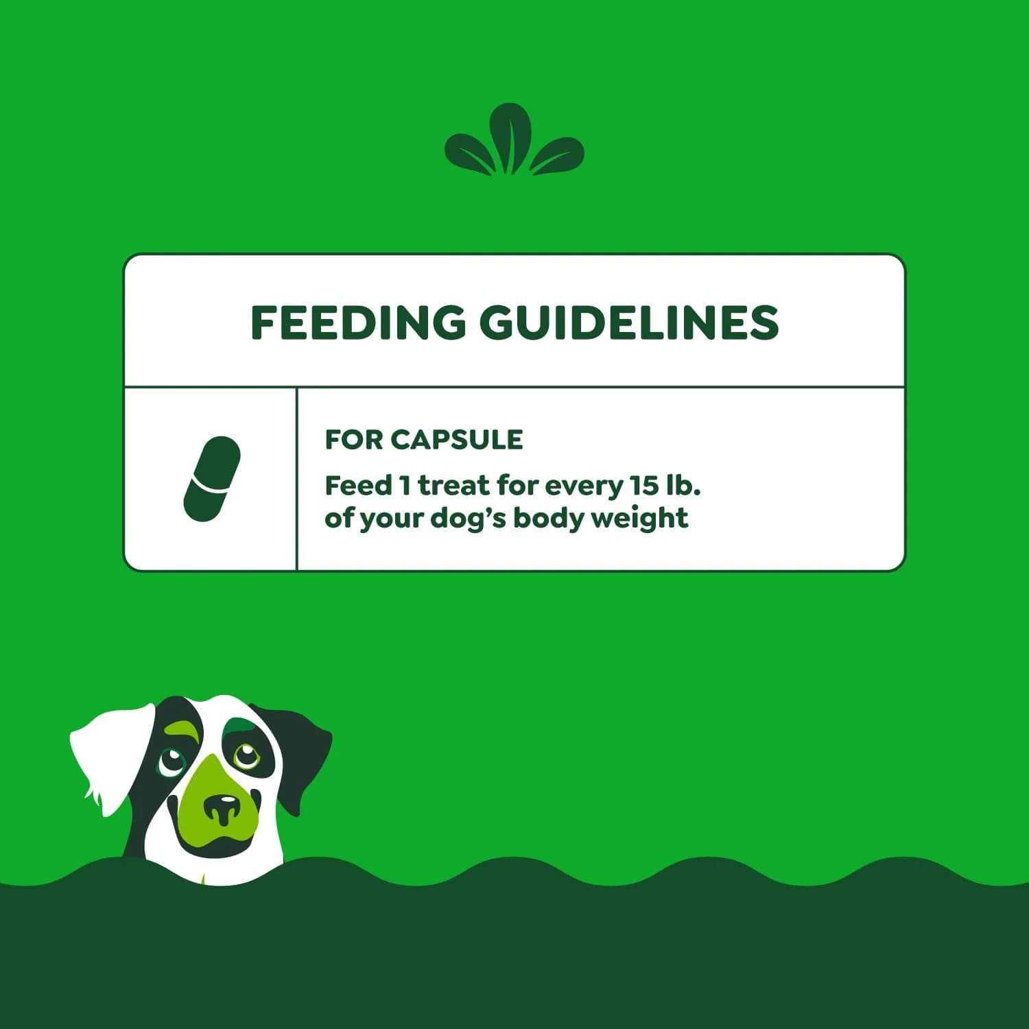 Greenies Pill Pockets Peanut Butter Large Size Dog Treats 180 Count (7.9 oz x 6) | Vet-Recommended Medicine Masking - view 7