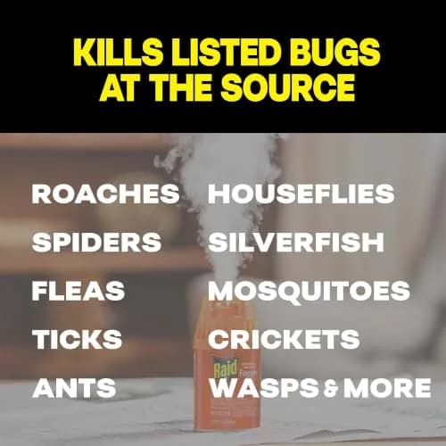 Raid Deep Reach Pest Killer & Roach Fogger 1.5 fl oz | Indoor Roach & Flea Control, Residual Action for Up to 2 Months thumbnail 4