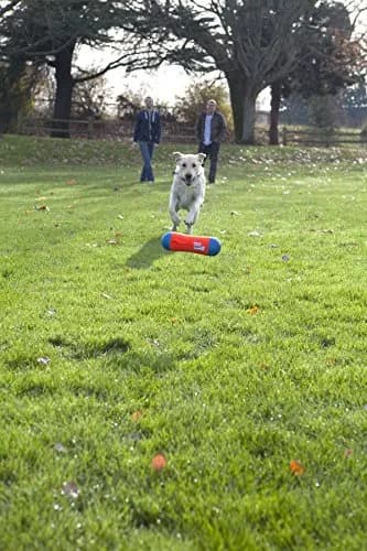 ChuckIt! Tumble Bumper Dog Toy Medium | Random Bounce & High Float for Water Play thumbnail 4