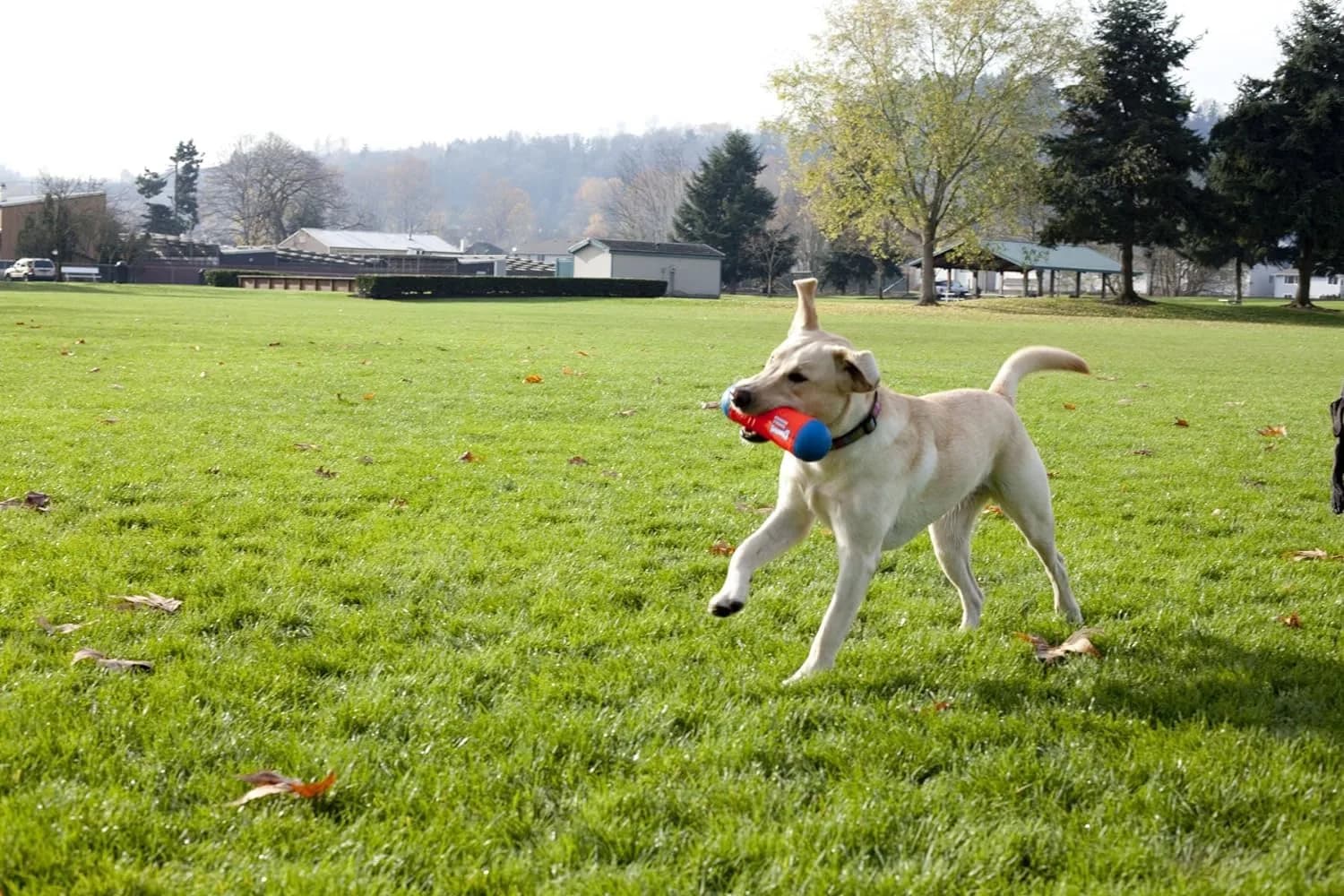 Chuckit! Amphibious Tumble Bumper Dog Toy, Large | Floats on Water & Bounces Randomly - view 5