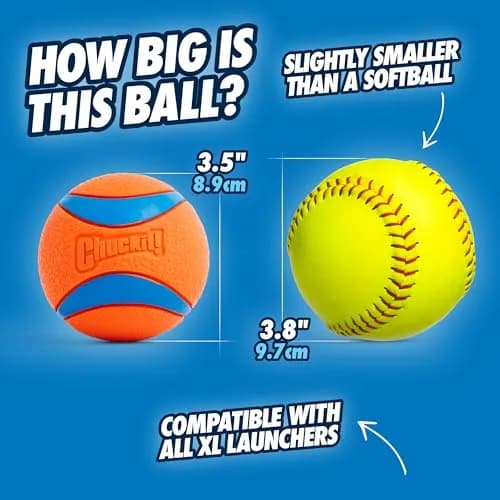 Chuckit! Ultra Ball Dog Toy XL 3.5-in (8.9cm) — Durable Rubber, High Bounce, Floats thumbnail 5