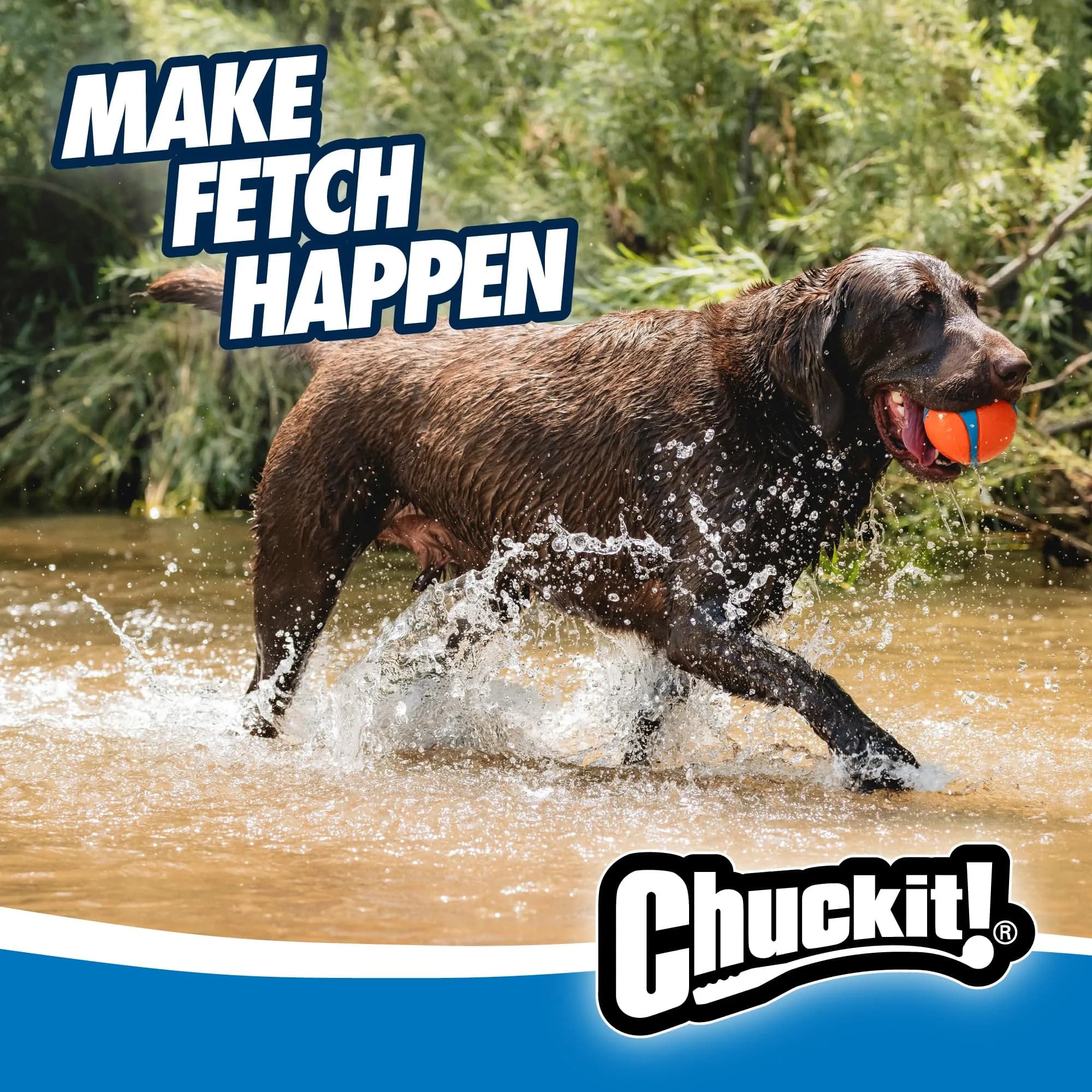 Chuckit! Ultra Ball Dog Toy XXL (10.2cm / 4in) | High Bounce, Floats, Durable Rubber for Large Dogs - view 5