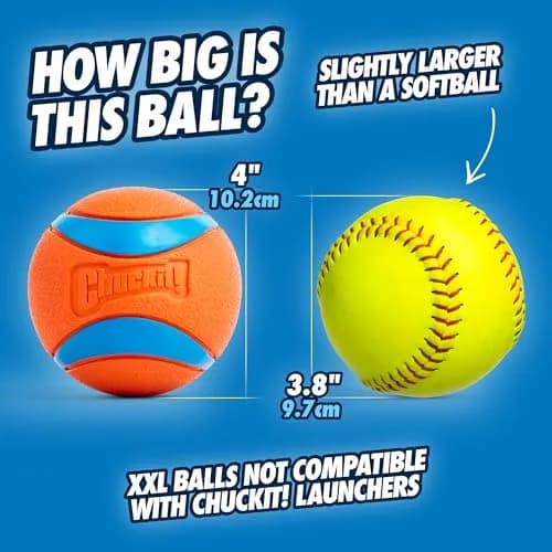 Chuckit! Ultra Ball Dog Toy XXL (10.2cm / 4in) | High Bounce, Floats, Durable Rubber for Large Dogs thumbnail 2