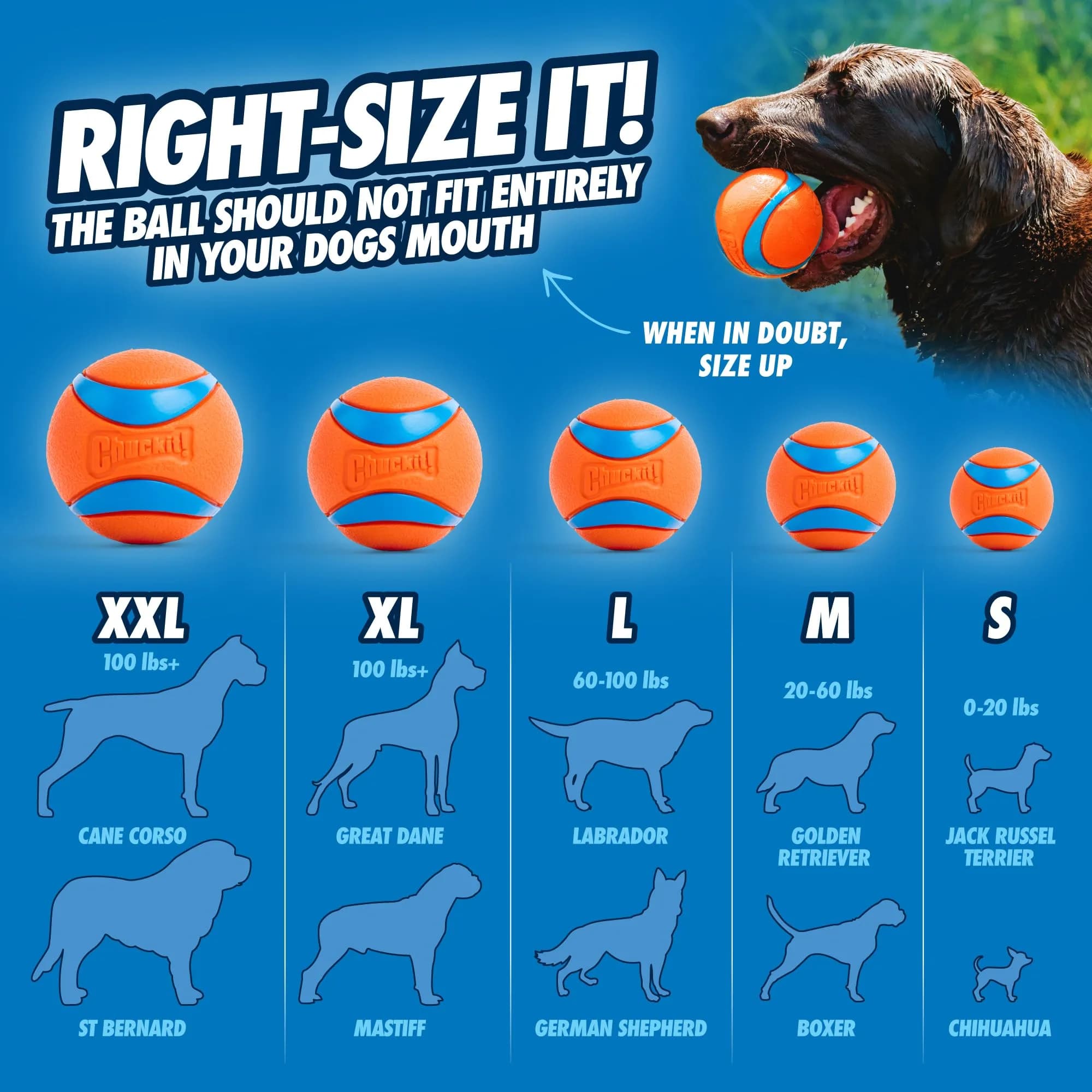 Chuckit! Ultra Ball Dog Toy XXL (10.2cm / 4in) | High Bounce, Floats, Durable Rubber for Large Dogs - view 4