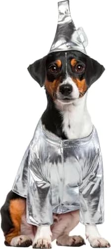 Rubies Wizard of Oz Tin Man Pet Costume for Dogs & Cats | Silver Shirt & Funnel Hat (Small 6-10 lbs) thumbnail 2