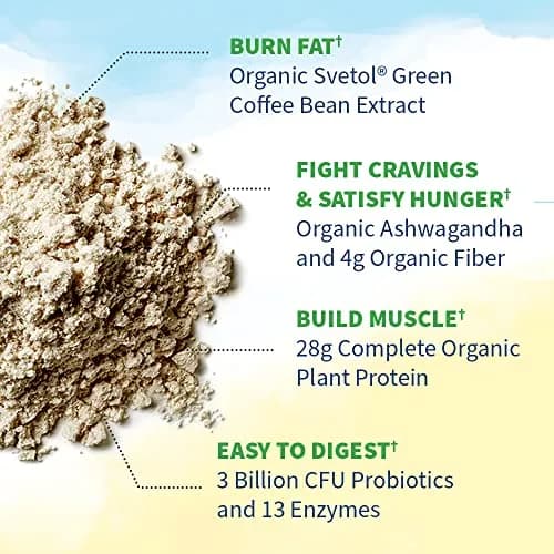 Garden of Life Raw Organic Fit Vegan Protein Powder Original 427g (14 Oz) | 28g Plant Protein for Weight Management thumbnail 4